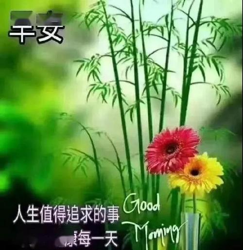 4月5日清晨早上好漂亮图片问候祝福语,早安暖心祝福短信