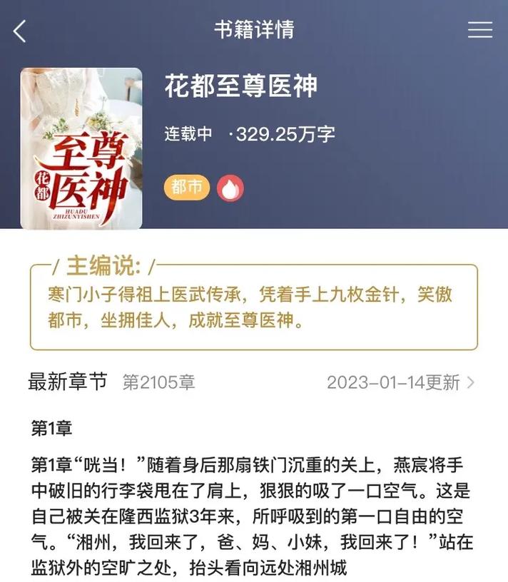 《花都至尊医神》燕宸小说#花都至尊医神#花都至尊医神小说燕