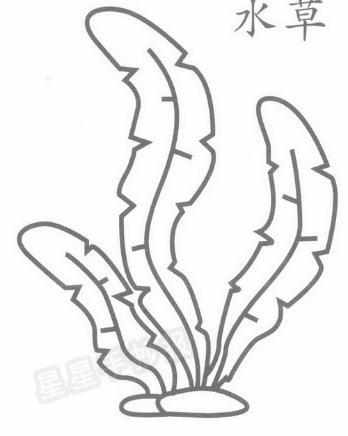 水草简笔画怎么画