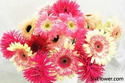 20多岁的女性朋友送什么花好20多岁的女性朋友生日送什么花