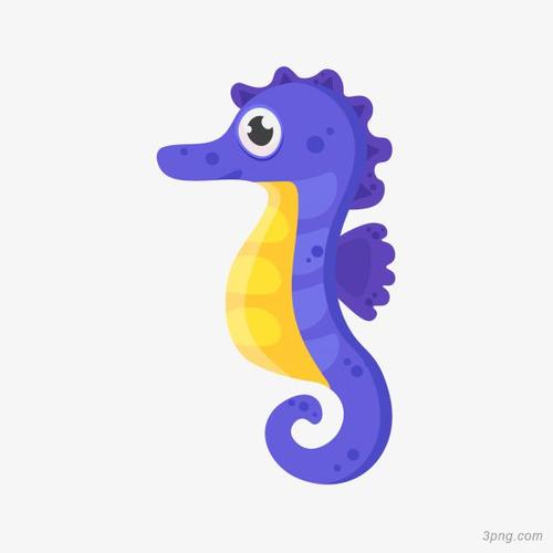 卡通可爱的生物海洋海马