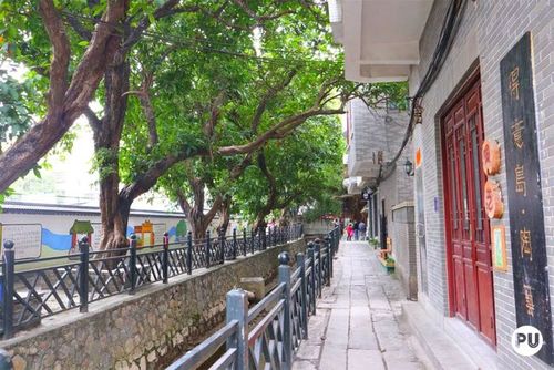 画室迁移后的小洲村,环境干净整洁了很多   少了点人气,却多了份