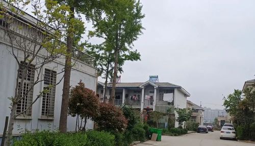 丰县张梨园村曾经的小村庄如今已成为丰县城区的南大门