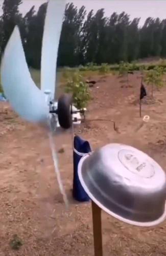 智慧这块农名伯伯就没输过谁,自制惊悚版驱鸟神器,鸟没吓到,人先吓晕