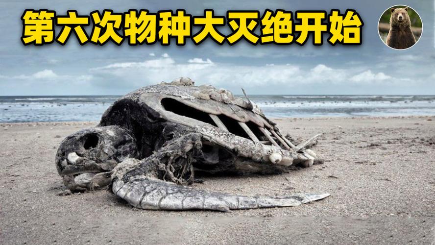 再也无法逃避,地球正在经历—次更大规模生物灭绝的事实——第六次物