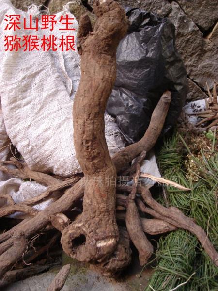 包邮 纯野生猕猴桃根藤梨根 阳桃根 正品中药材 另有