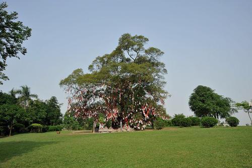 狮山公园简笔画