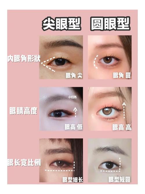 单眼皮模版怎么找? 尖眼型90圆眼型5秒辨别_单眼皮