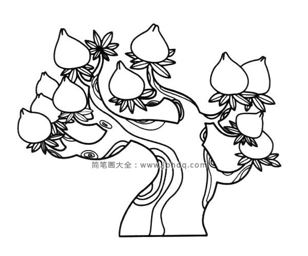 结满桃子的大树