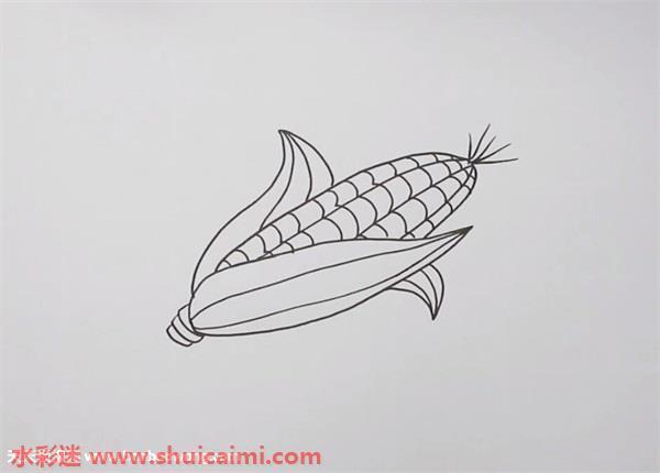 玉米怎么画玉米简笔画简单易画彩色