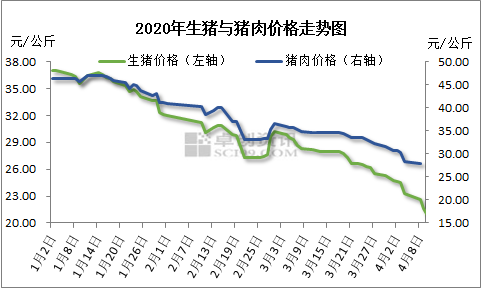 2020年生猪与猪肉价格走势图