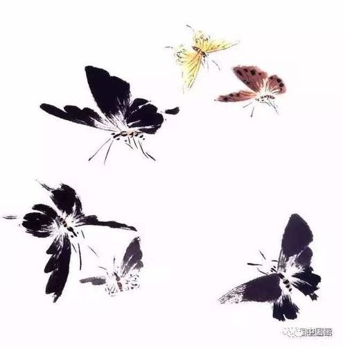 写意花鸟临本:写意蝴蝶画法详解