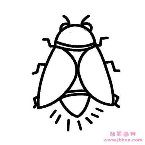 小学生关于发光的萤火虫简笔画图片