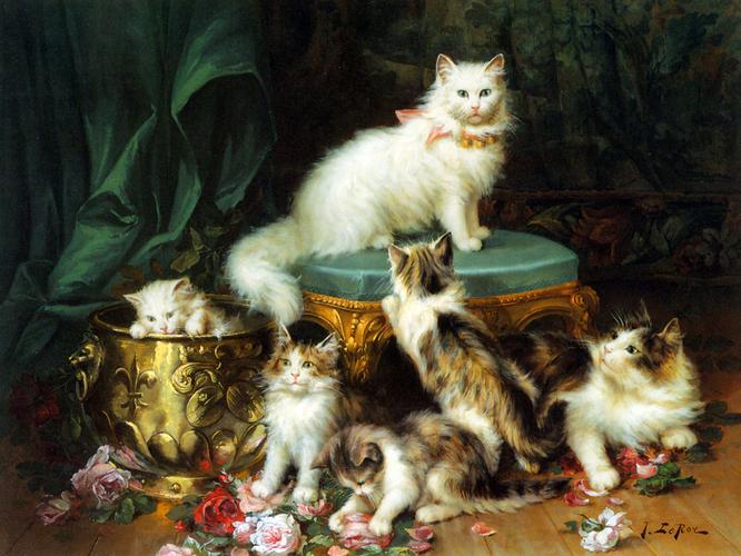 动物猫咪油画写生