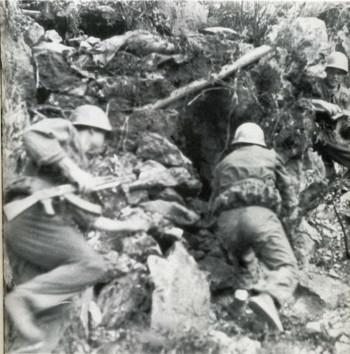 [转载]老兵回忆:和我作战的越南女兵竟只穿着短裤