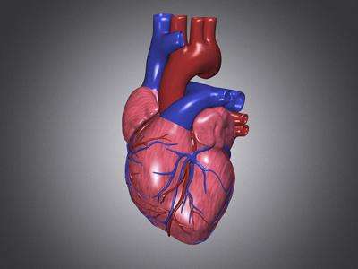 1.一般先天性心脏病