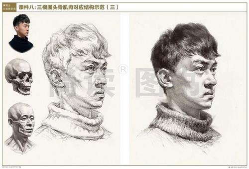 0素描头像从石膏五官到人像结构一本通贾杰 国美素描肖像超群结构美术