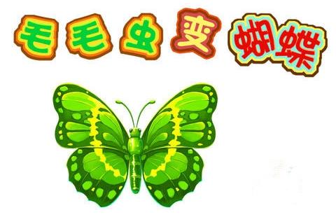 中班科学:毛毛虫变蝴蝶