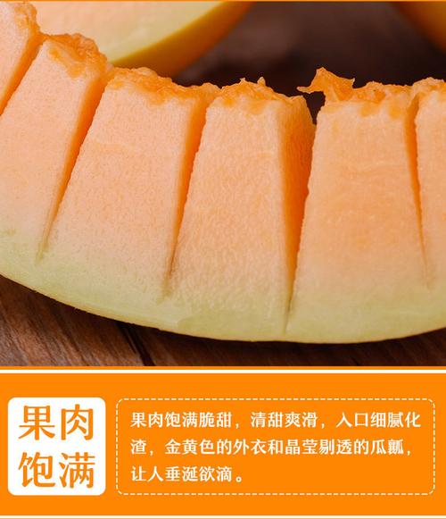 陕西甜瓜 黄皮蜜瓜5斤新鲜当季孕妇水果甜瓜哈密瓜脆甜现摘5到6斤