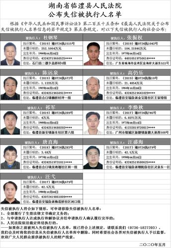 临澧县人民法院失信被执行人公布名单