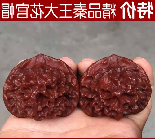 秦岭大官帽陕西麻核桃 文玩核桃把玩金刚纹核桃 野生灯笼核桃