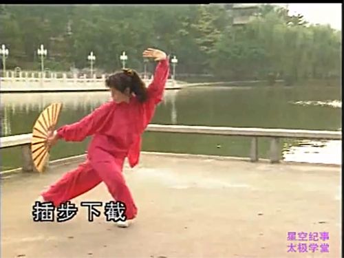四维太极扇标准动作