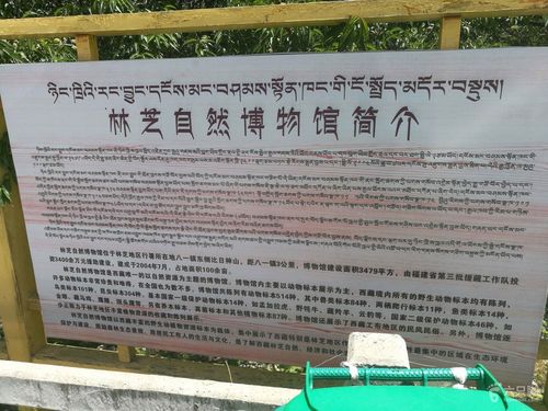 林芝自然博物馆观光.
