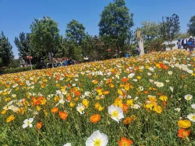 首农紫谷伊甸园_景点_写生_出行_人文风光展示_自然