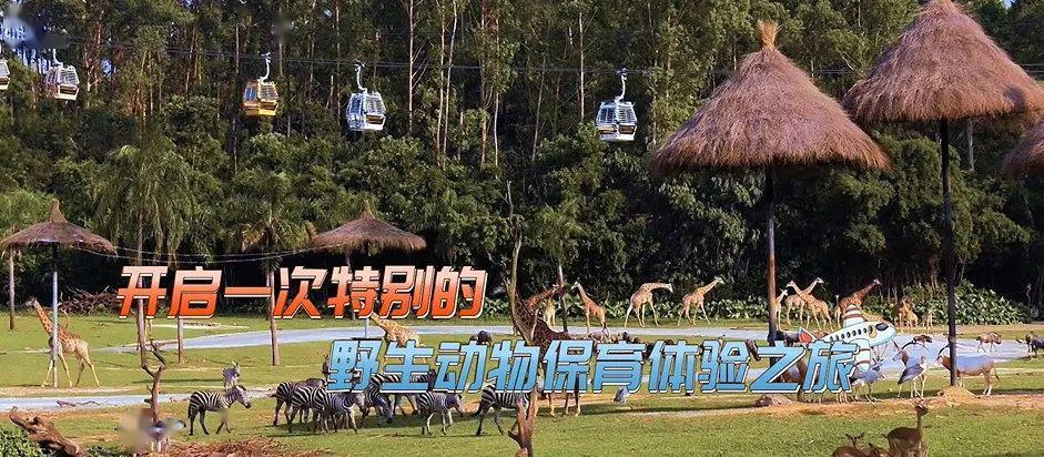 非常游学团开播啦快来一起涨知识赢好礼