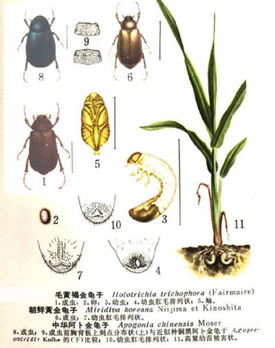 plr1978的个人主页