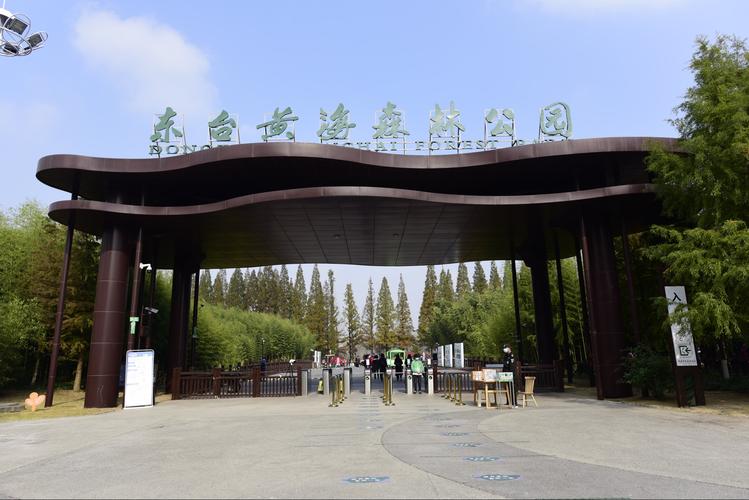 东台黄海森林公园