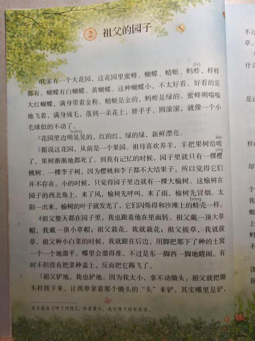学习第二课《祖父的园子》