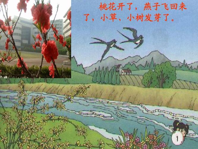 桃花开了,燕子飞回来 了,小草,小树发芽了.