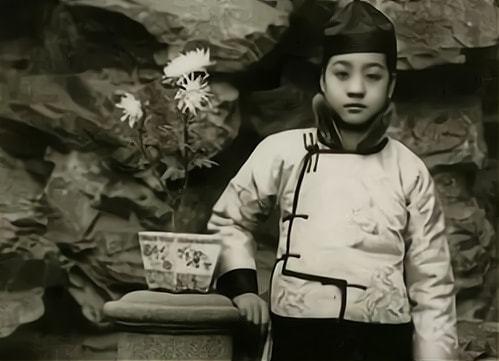 凌迟6岁孩子3000刀花了9年时间才割完慈禧跟他有何深仇大恨