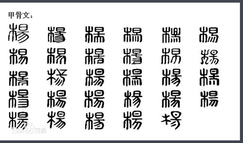 杨的甲骨文怎样写