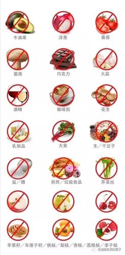 鹦鹉吃这些食物必死无疑,安全食谱告诉你