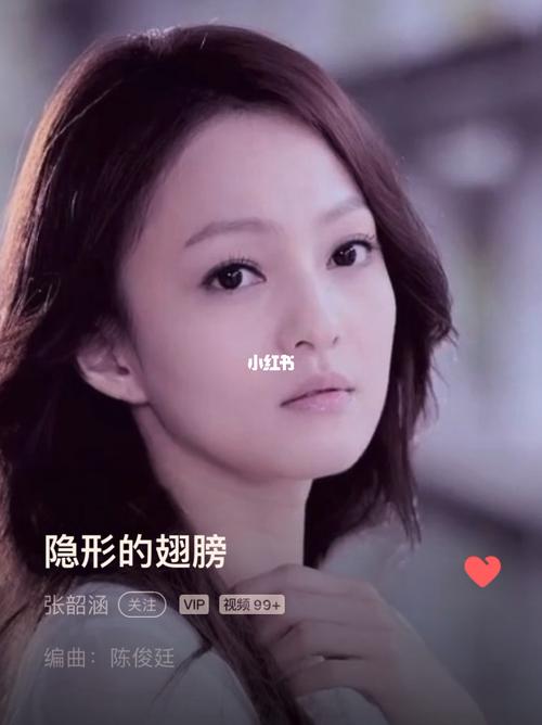 夏日歌曲 | 张韶涵 | 隐形的翅膀_歌曲_张韶涵_夏天去