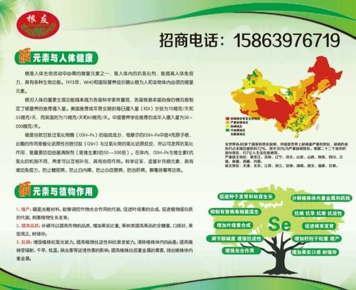 山东路源富硒套餐肥江苏富硒黄桃基地【15863976719】
