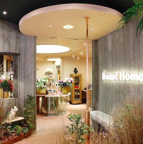 beast home 才不是只卖花的网红花店