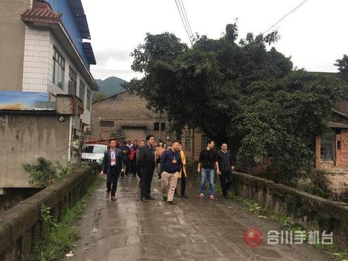 合川清平镇:人大代表集中视察农村环境整治工作