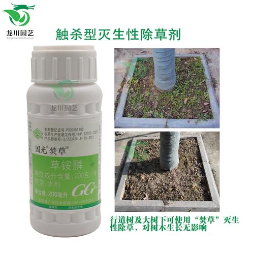 草胺磷除草剂 国光焚草 苗木苗圃果园果树荒地道路除杂草 草铵膦_7折