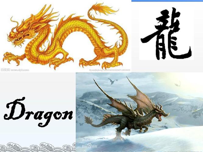中西方动物文化内涵对比ppt
