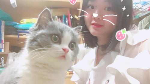 假装听得懂你说话- - 新手养猫的奋斗史