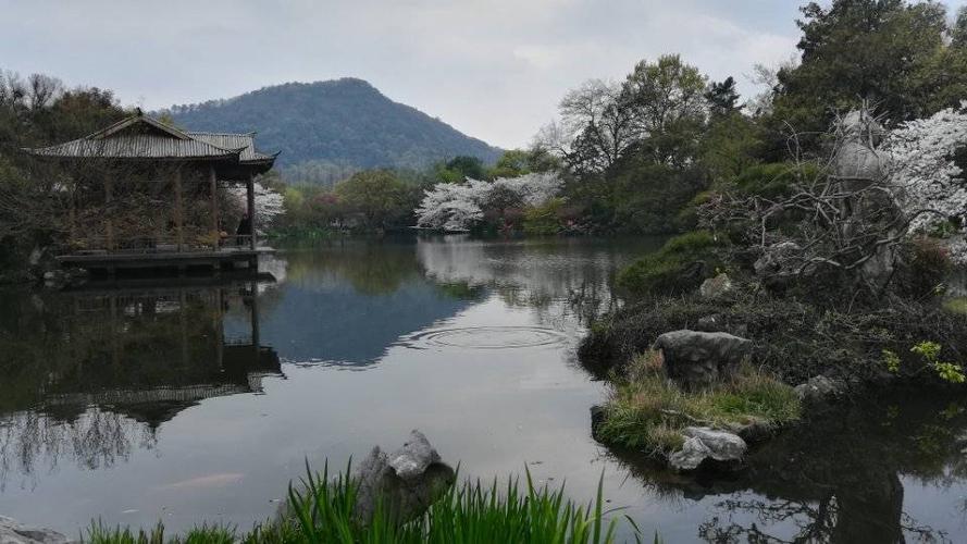 春色无边 春光无限——江浙行之一济南杭州篇