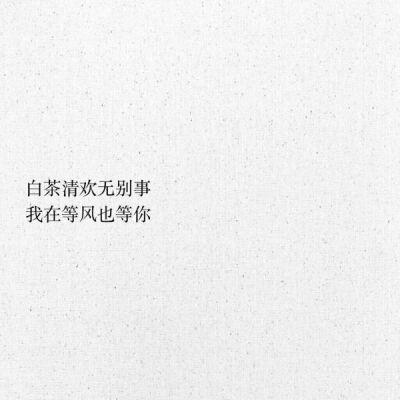 0条  收集   点赞  评论  个性文字 0 1 孤言者  发布到  文案 图片