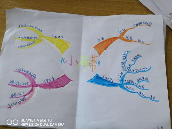 《小海蒂》阅读收获 ——思维导图展示