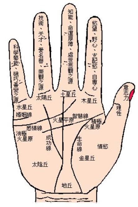 手相解读:教你看手相(转载)