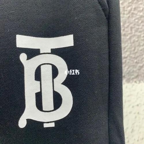 burberry巴宝莉 2021新款tb字母logo_博柏利怎么样_logo_金都(国际)