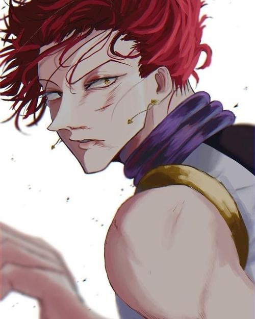 全职猎人里的西索和伊尔迷,高清精美壁纸