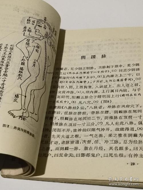 奇经八脉考校注